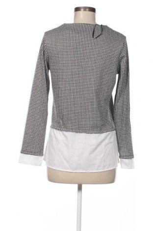 Γυναικεία μπλούζα Kapalua, Μέγεθος M, Χρώμα Πολύχρωμο, Τιμή 1,76 €