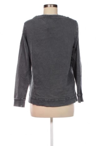 Damen Shirt Lindex, Größe XS, Farbe Grau, Preis 1,98 €