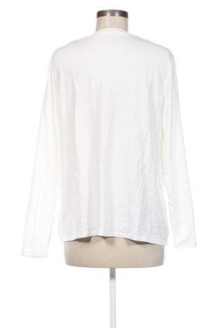 Γυναικεία μπλούζα M&Co., Μέγεθος XXL, Χρώμα Λευκό, Τιμή 11,75 €