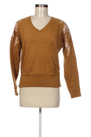 Damen Shirt Maison Scotch, Größe S, Farbe Braun, Preis € 29,75