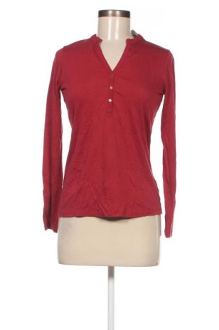 Γυναικεία μπλούζα Massimo Dutti, Μέγεθος XS, Χρώμα Κόκκινο, Τιμή 17,81 €
