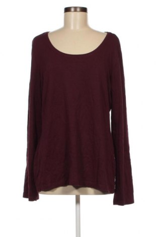 Damen Shirt Miss Etam, Größe XXL, Farbe Rot, Preis 22,95 €