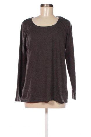 Γυναικεία μπλούζα Ms Mode, Μέγεθος L, Χρώμα Γκρί, Τιμή 5,88 €