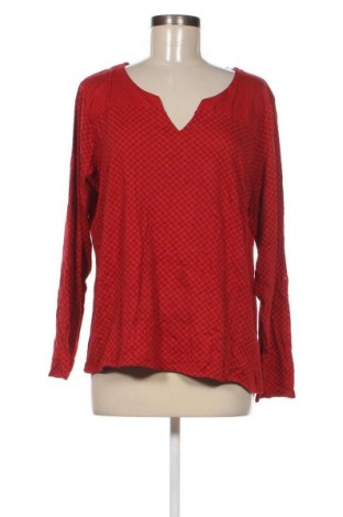 Γυναικεία μπλούζα Multiblu, Μέγεθος L, Χρώμα Πολύχρωμο, Τιμή 5,29 €