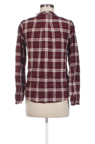 Damen Shirt Naf Naf, Größe S, Farbe Mehrfarbig, Preis € 3,55