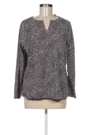 Γυναικεία μπλούζα Nanso, Μέγεθος XL, Χρώμα Πολύχρωμο, Τιμή 4,00 €