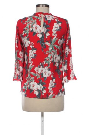 Γυναικεία μπλούζα Oasis, Μέγεθος S, Χρώμα Πολύχρωμο, Τιμή 10,99 €