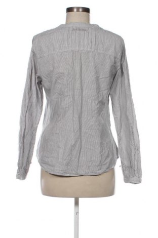 Γυναικεία μπλούζα Plus Fine, Μέγεθος L, Χρώμα Πολύχρωμο, Τιμή 5,36 €