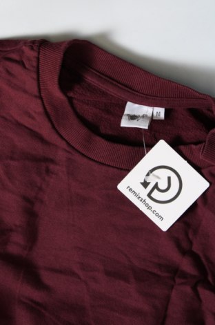 Γυναικεία μπλούζα Pota, Μέγεθος M, Χρώμα Κόκκινο, Τιμή 11,75 €
