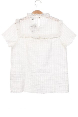 Γυναικεία μπλούζα Project Unknown, Μέγεθος XS, Χρώμα Λευκό, Τιμή 5,22 €