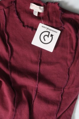 Damen Shirt Pull&Bear, Größe S, Farbe Rosa, Preis € 3,97