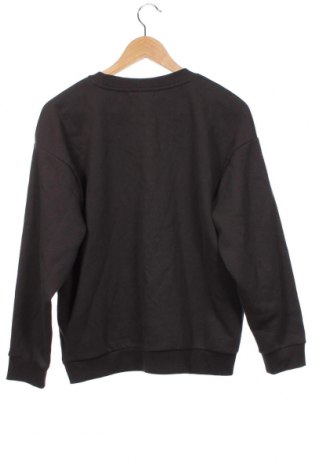 Damen Shirt Sinsay, Größe XS, Farbe Grau, Preis 4,33 €