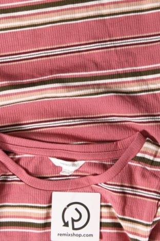 Damen Shirt Springfield, Größe S, Farbe Mehrfarbig, Preis € 2,82
