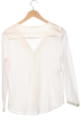Damen Shirt Strenesse, Größe XS, Farbe Ecru, Preis € 38,30