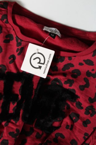 Γυναικεία μπλούζα True Spirit, Μέγεθος M, Χρώμα Κόκκινο, Τιμή 2,82 €