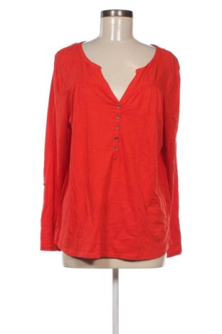 Γυναικεία μπλούζα Yessica, Μέγεθος L, Χρώμα Κόκκινο, Τιμή 3,64 €