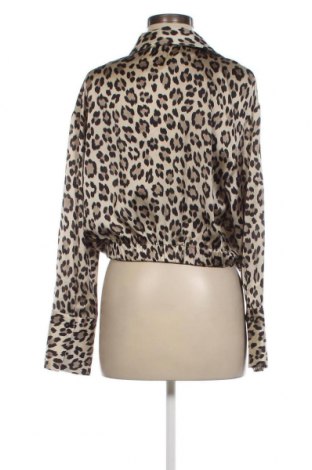 Γυναικεία μπλούζα Zara, Μέγεθος L, Χρώμα Πολύχρωμο, Τιμή 13,82 €