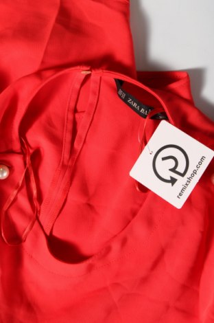 Damen Shirt Zara, Größe XS, Farbe Rot, Preis 3,95 €