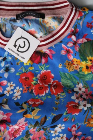 Damen Shirt Zara, Größe XL, Farbe Mehrfarbig, Preis 14,00 €
