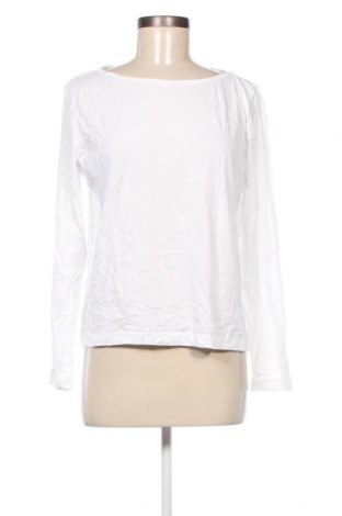 Γυναικεία μπλούζα Zara, Μέγεθος M, Χρώμα Λευκό, Τιμή 16,70 €