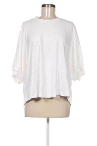 Damen Shirt Zara, Größe M, Farbe Weiß, Preis 6,26 €