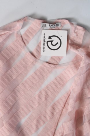 Damen Shirt Zara, Größe M, Farbe Rosa, Preis € 2,49