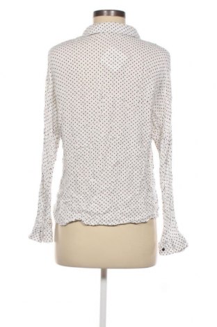 Damen Shirt Zara Trafaluc, Größe M, Farbe Weiß, Preis € 3,38