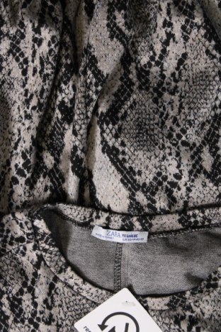 Damen Shirt Zara Trafaluc, Größe M, Farbe Mehrfarbig, Preis € 5,26