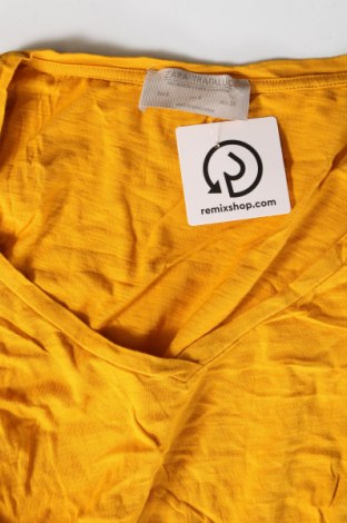 Damen Shirt Zara Trafaluc, Größe S, Farbe Gelb, Preis € 2,82