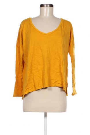 Damen Shirt Zara Trafaluc, Größe S, Farbe Gelb, Preis € 2,82