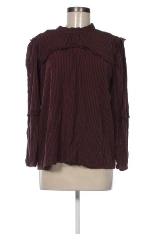 Γυναικεία μπλούζα Zeze, Μέγεθος XL, Χρώμα Καφέ, Τιμή 5,12 €