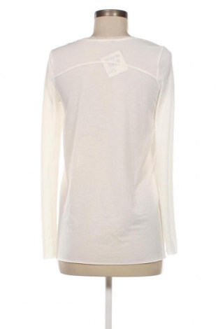 Γυναικεία μπλούζα Znk, Μέγεθος M, Χρώμα Λευκό, Τιμή 9,72 €
