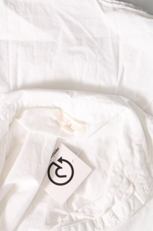 Γυναικείο πουκάμισο, Μέγεθος XL, Χρώμα Λευκό, Τιμή 12,79 €