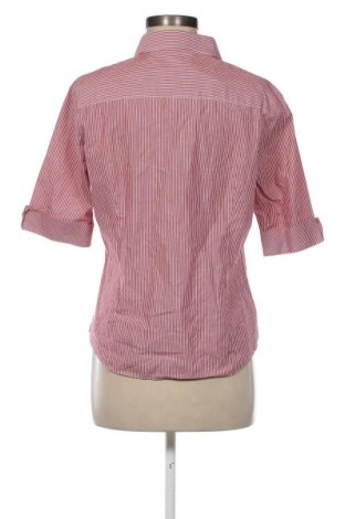 Dámska košeľa  Austin Reed, Veľkosť XL, Farba Ružová, Cena  13,45 €
