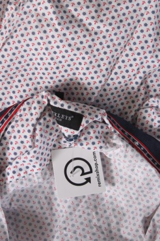 Γυναικείο πουκάμισο Bexleys, Μέγεθος XL, Χρώμα Πολύχρωμο, Τιμή 8,70 €