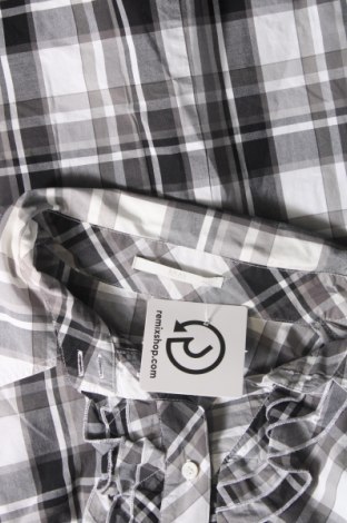 Dámska košeľa  Brax, Veľkosť XL, Farba Viacfarebná, Cena  15,91 €