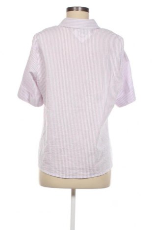 Dámská košile  Collection L, Velikost L, Barva Fialová, Cena  589,00 Kč
