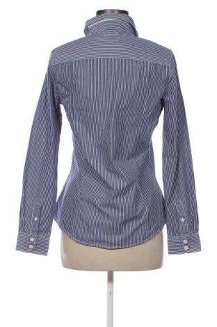 Damenbluse Crew Clothing Co., Größe M, Farbe Blau, Preis 15,97 €