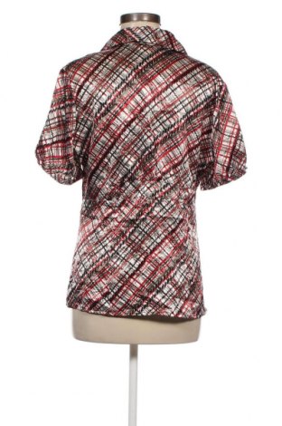 Γυναικείο πουκάμισο Fred David, Μέγεθος L, Χρώμα Πολύχρωμο, Τιμή 6,18 €