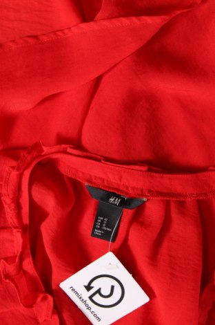 Damenbluse H&M, Größe L, Farbe Rot, Preis 6,93 €