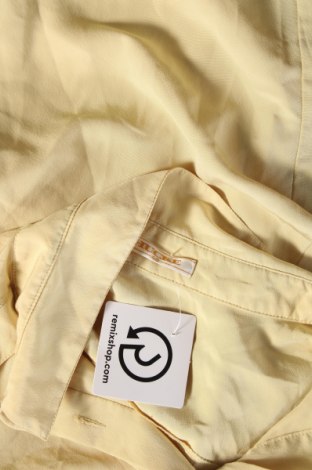 Γυναικείο πουκάμισο Hucke, Μέγεθος XXL, Χρώμα Κίτρινο, Τιμή 17,39 €
