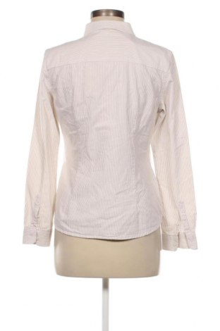 Γυναικείο πουκάμισο Montego, Μέγεθος M, Χρώμα  Μπέζ, Τιμή 7,67 €