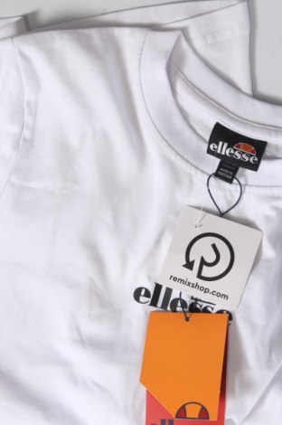 Γυναικείο t-shirt Ellesse, Μέγεθος M, Χρώμα Λευκό, Τιμή 18,45 €