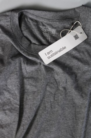 Damen T-Shirt Esprit, Größe XXS, Farbe Grau, Preis € 5,57