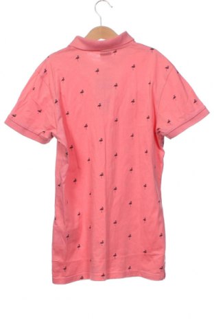 Γυναικείο t-shirt FSBN, Μέγεθος XS, Χρώμα Ρόζ , Τιμή 3,79 €