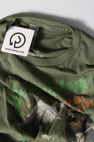 Γυναικείο t-shirt Gildan, Μέγεθος M, Χρώμα Πράσινο, Τιμή 10,82 €