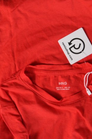 Damen T-Shirt Mango, Größe S, Farbe Rot, Preis 8,00 €