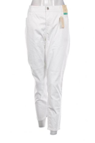 Damen Jeans, Größe XXL, Farbe Weiß, Preis € 14,08