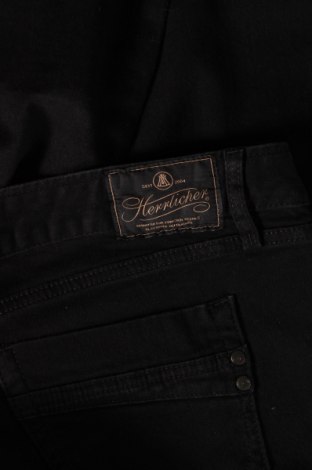 Dámske džínsy  Herrlicher, Veľkosť L, Farba Čierna, Cena  16,16 €
