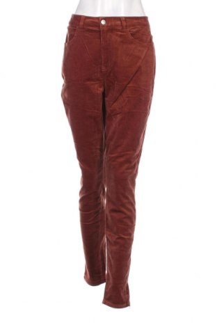 Pantaloni de velvet de femei, Mărime L, Culoare Maro, Preț 14,31 Lei